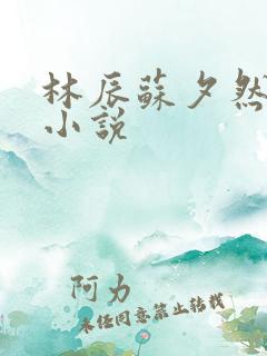 林辰苏夕然正版小说
