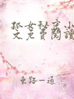 孤女秘密小说全文免费阅读最新章节