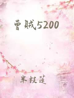 曹贼5200