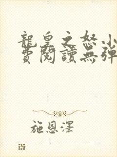 龙皇之怒小说免费阅读无弹窗
