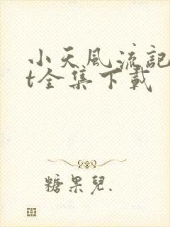 小天风流记txt全集下载
