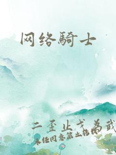网络骑士