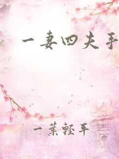 一妻四夫手记