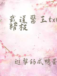 武道医王txt精校