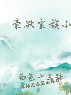 豪欲家族小说