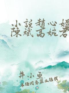 小说赵心媚主角陈斌高婉君