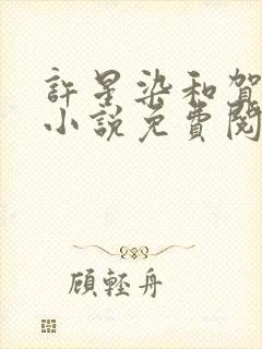 许星染和贺寒声小说免费阅读