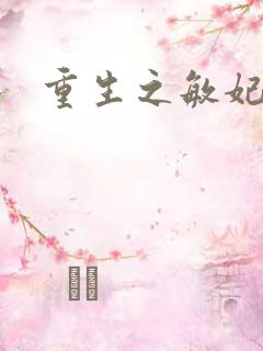 重生之敏妃