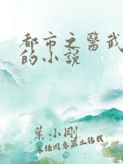 都市之医武风流的小说