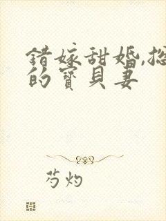 错嫁甜婚,总裁的宝贝妻