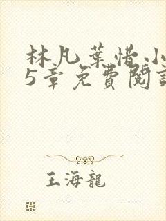 林凡叶惜小说第5章免费阅读