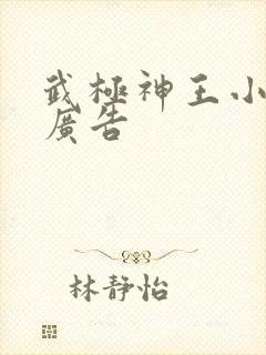 武极神王小说无广告