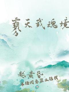 霸天武魂境界划分