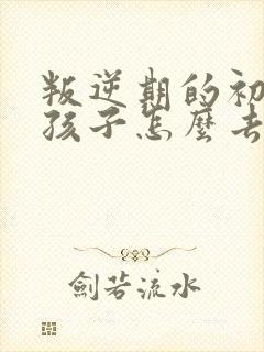 叛逆期的初中男孩子怎么去引导