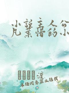 小说主人公叫林凡叶惜的小说