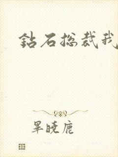 钻石总裁我已婚