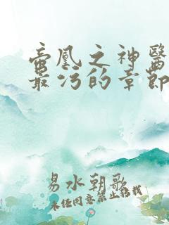 帝凰之神医弃妃最污的章节