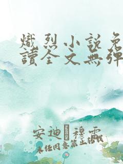 炽烈小说免费阅读全文无弹窗