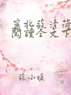 宁北苏清荷免费阅读全文下载
