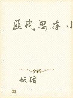 匪我思存 小说