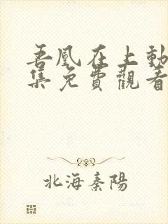 吾凰在上动漫全集免费观看
