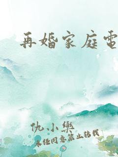 再婚家庭电视剧