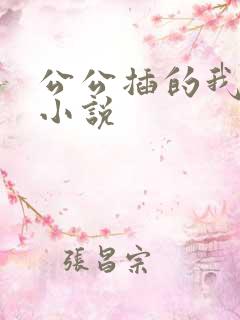 公公插的我好爽小说
