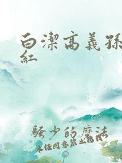 白洁高义孙倩美红