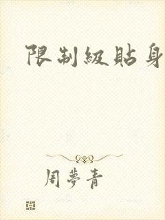 限制级贴身高手