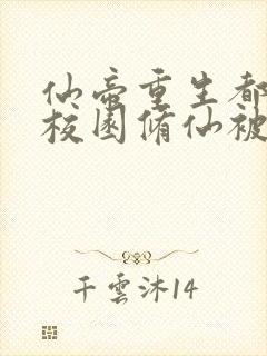 仙帝重生都市,校园修仙被嘲笑叶尘