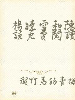 杨晓雪和陈阳小说免费阅读最新章节