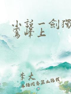 小说一剑独尊青鸾峰上