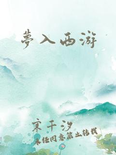 梦入西游