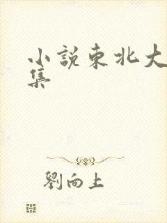 小说东北大炕全集