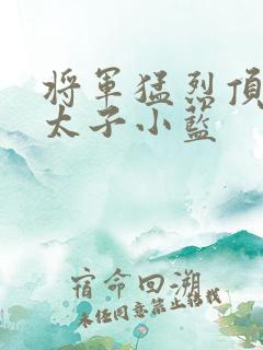将军猛烈顶弄h太子小蓝