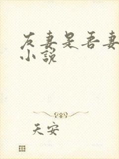 友妻是吾妻王伟小说