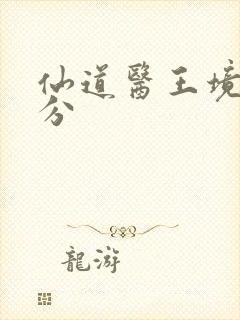 仙道医王境界划分