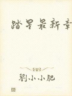 踏星最新章节新