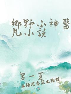 乡野小神医李小凡小说