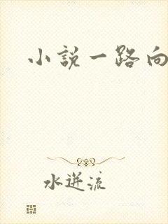 小说一路向西