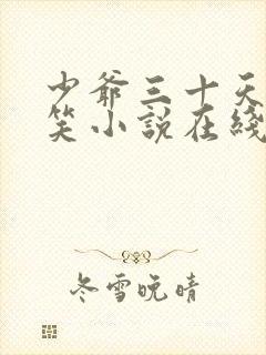 少爷三十天后会笑小说在线阅读