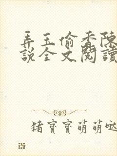 弄玉偷香陈敏小说全文阅读