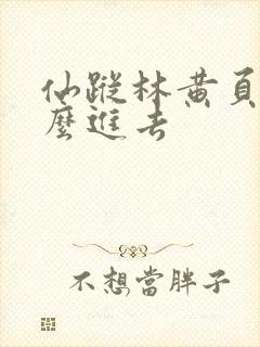 仙踪林黄页网怎么进去