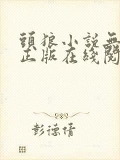 头狼小说无删减正版在线阅读