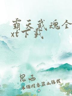 霸天武魂全本txt下载