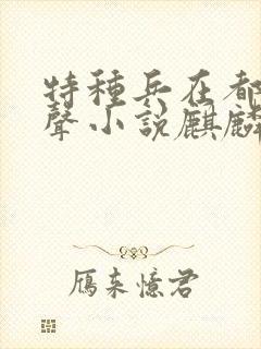 特种兵在都市有声小说麒麟听书网