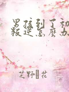 男孩到了初中很叛逆怎么办