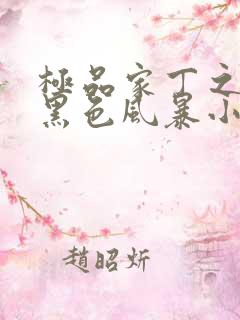 极品家丁之征服黑色风暴小说阅读