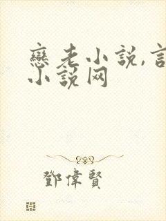 恋老小说,言情小说网