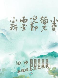 小雨倪楠小说最新章节免费阅读